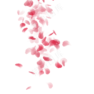 情人节梦幻玫瑰瓣飘零场景