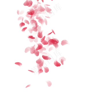 情人节梦幻玫瑰瓣飘零场景