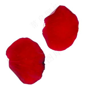 玫瑰花瓣正红色