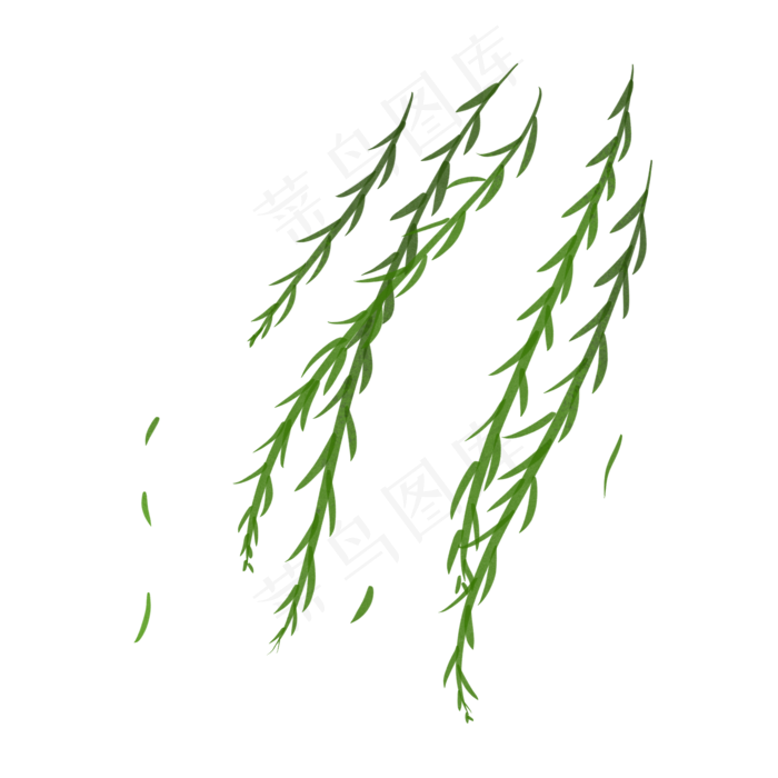 春分绿色小清新微风拂动柳树柳枝,免抠元素