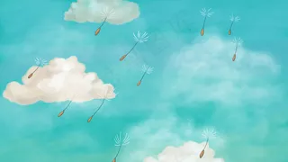 夏天飞舞的蒲公英