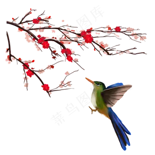 国鸟花潮,免抠元素
