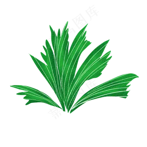端午节装饰艾草PNG图片