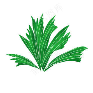 端午节装饰艾草PNG图片
