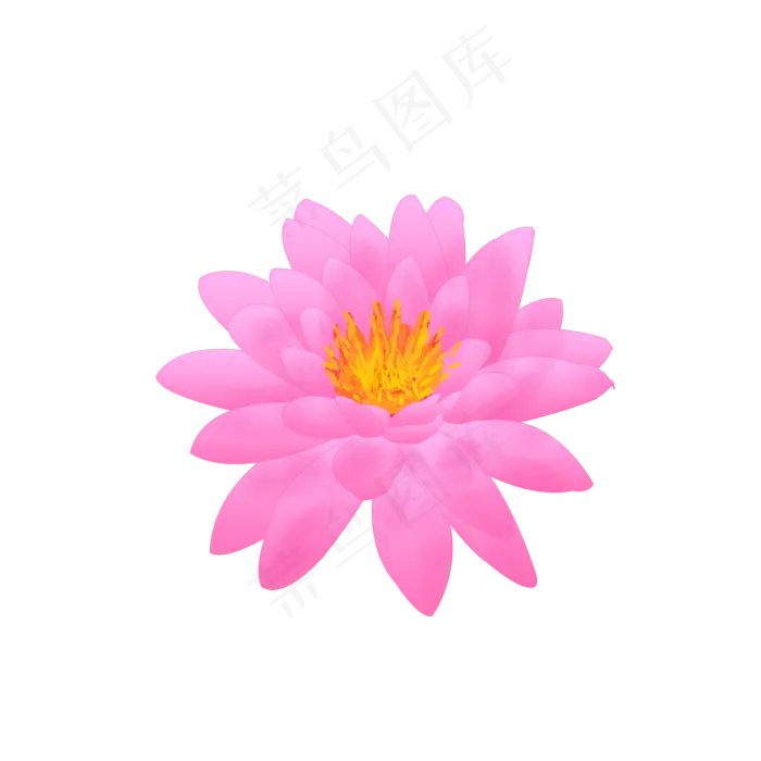 睡莲荷花手绘荷花可商用元素(2000X2000(DPI:300))psd模版下载