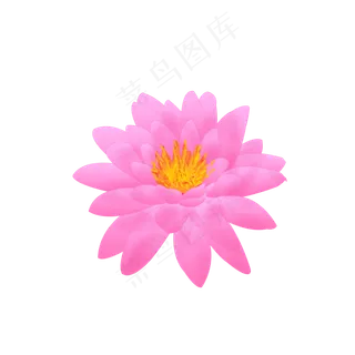 睡莲荷花手绘荷花可商用元素