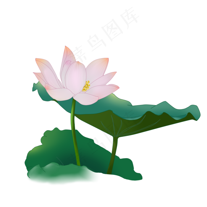 花朵荷花白描古风元素莲花植物花
