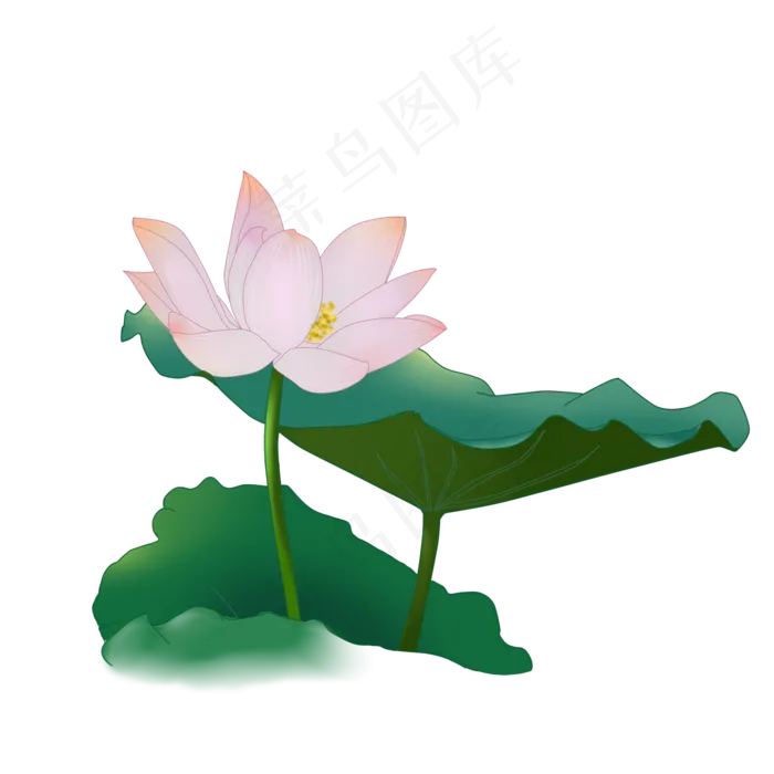 花朵荷花白描古风元素莲花植物花
