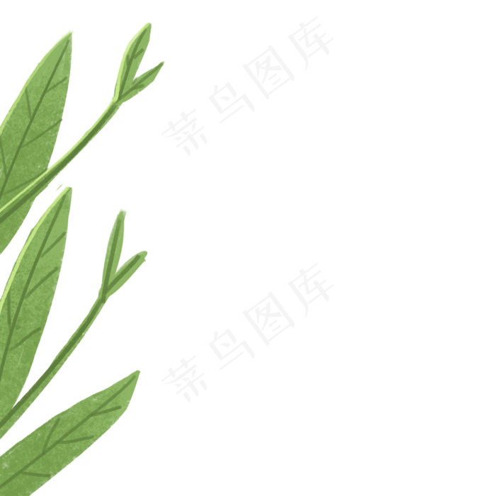 植物绿色叶子下载