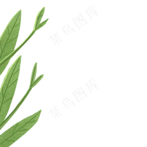 植物绿色叶子下载