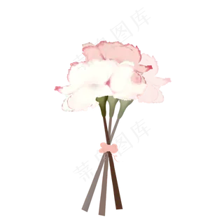 白色粉色康乃馨花束