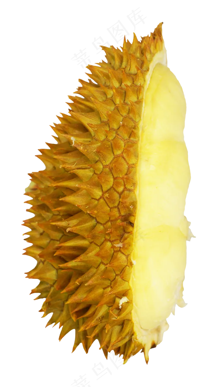 立起榴莲水果(3096X2000)