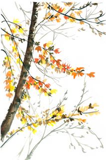 秋天的树水彩画PNG免抠素材