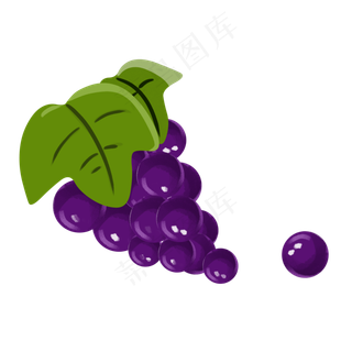 紫色葡萄水果