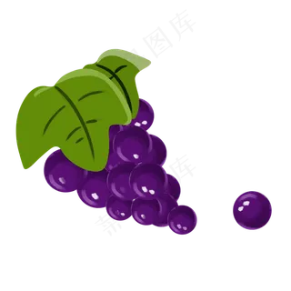 紫色葡萄水果