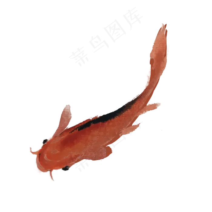 夏季水墨鱼手绘素材(4000X4000(DPI:300))psd模版下载