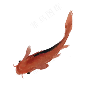 夏季水墨鱼手绘素材