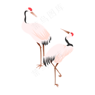 中国风对视的一对仙鹤