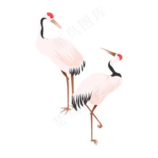 中国风对视的一对仙鹤