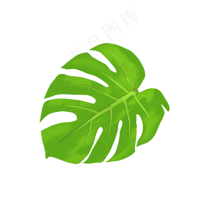 卡通手绘薄荷绿叶(4167*4167px 300 dpi )ai矢量模版下载