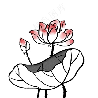 漂亮荷花水墨植物