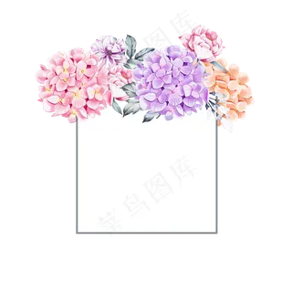 手绘风花卉边框唯美小清新花朵元