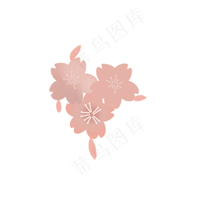 小清新樱花花瓣樱花花朵组合(2500X2500(DPI:300))psd模版下载