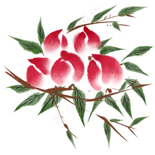 水彩树枝水蜜桃