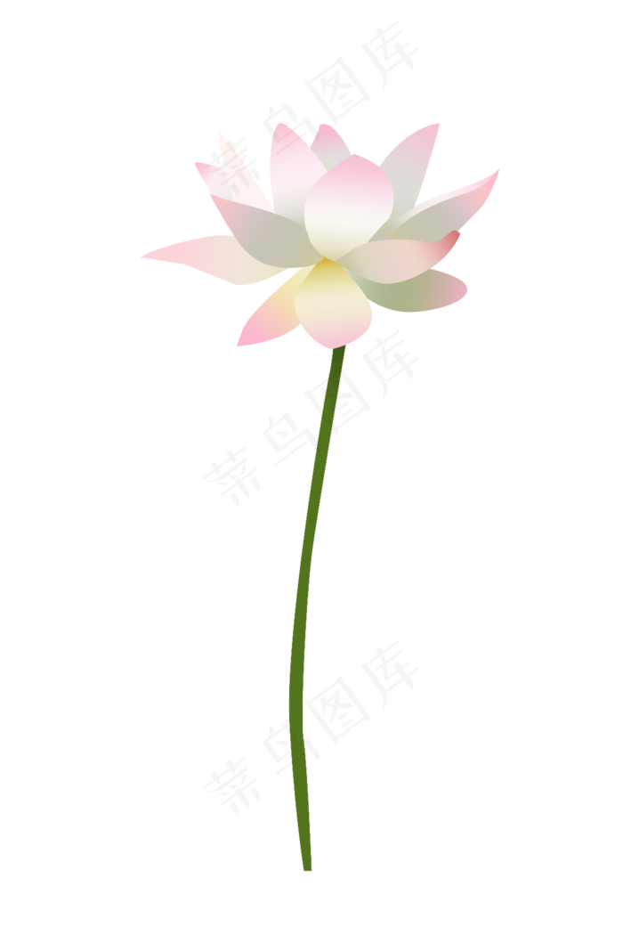 白色荷花植物(2000X3000(DPI:300))psd模版下载