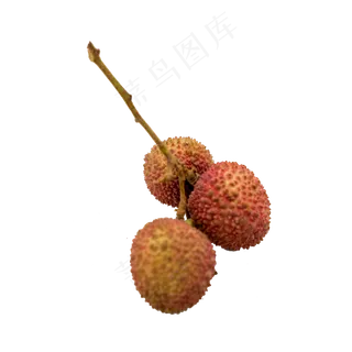 荔枝水果实物拍摄