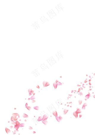 花玫瑰花瓣飘落漂浮