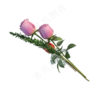 粉色玫瑰png图