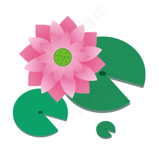 二十四节气之大暑荷叶荷花矢量图