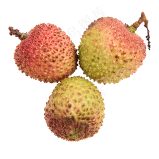 荔枝组合俯视,免抠元素