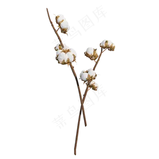 仿真棉花png图