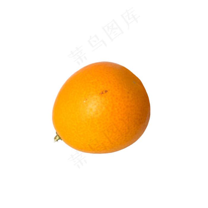 水果金桔(2000X2000(DPI:300))psd模版下载