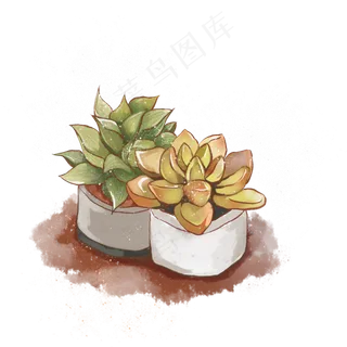 水彩植物盆栽