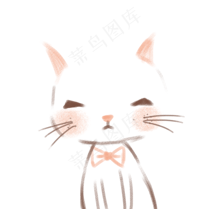 手绘萌宠宠物花猫插画