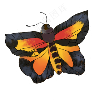 蝴蝶手绘装饰图案彩色蝴蝶