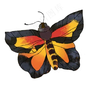 蝴蝶手绘装饰图案彩色蝴蝶