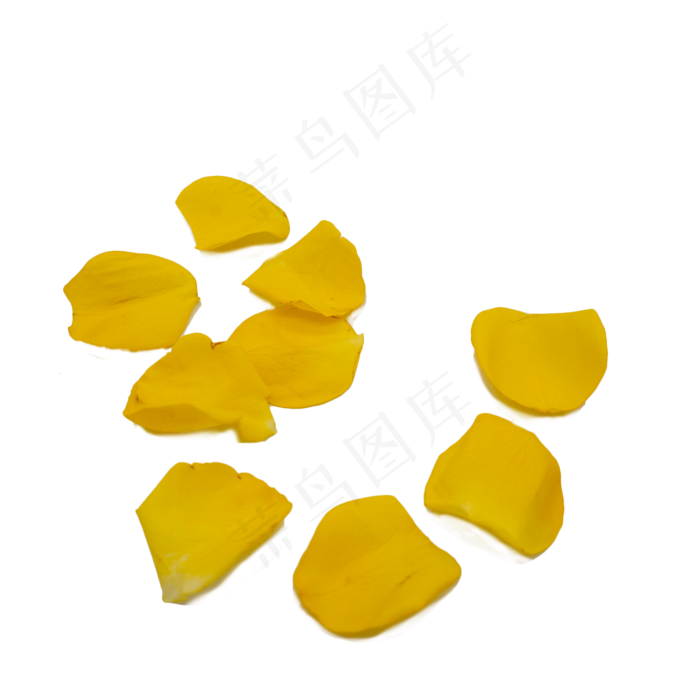 黄色花瓣
