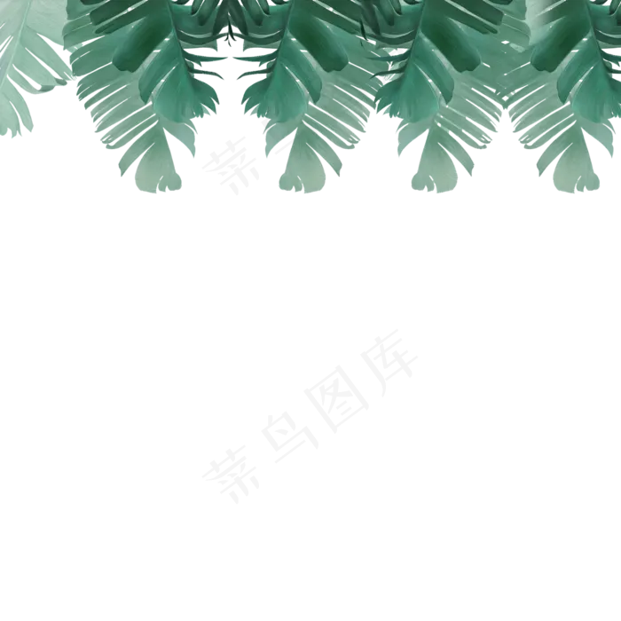 春天绿色植物装饰下载(2000*2000px 300 dpi )psd模版下载