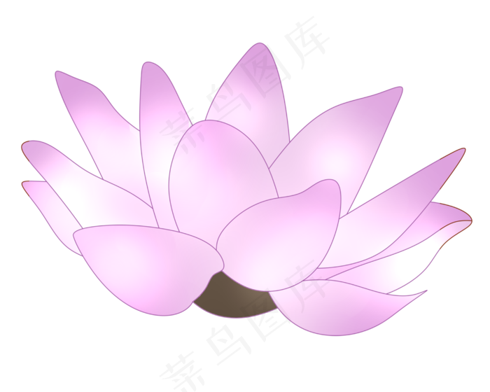 粉色荷花莲花插画