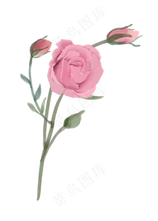 手绘小清新水彩风格花卉