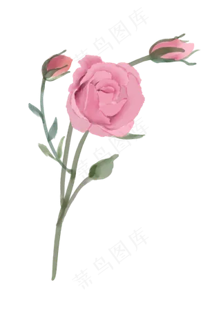 手绘小清新水彩风格花卉