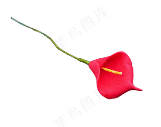 红色马蹄莲花枝,免抠元素