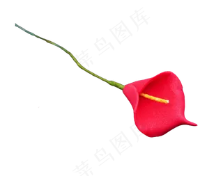 红色马蹄莲花枝,免抠元素