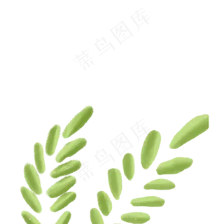 春天植物绿叶下载