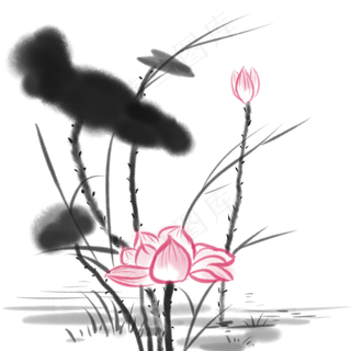 中国水墨花卉荷花写意唯美