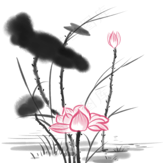 中国水墨花卉荷花写意唯美